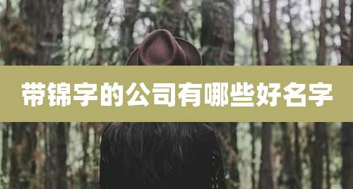 带锦字的公司有哪些好名字