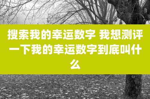 搜索我的幸运数字 我想测评一下我的幸运数字到底叫什么