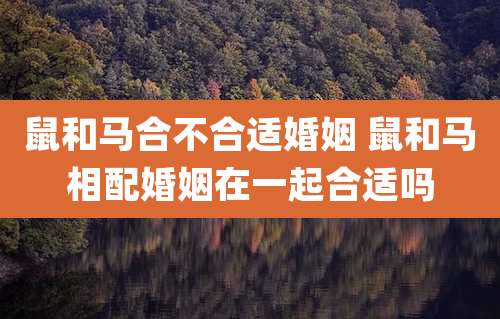 鼠和马合不合适婚姻 鼠和马相配婚姻在一起合适吗