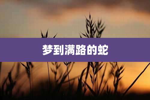 梦到满路的蛇
