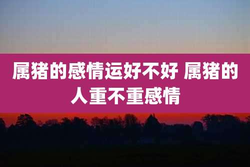 属猪的感情运好不好 属猪的人重不重感情