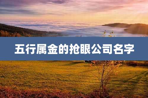 五行属金的抢眼公司名字