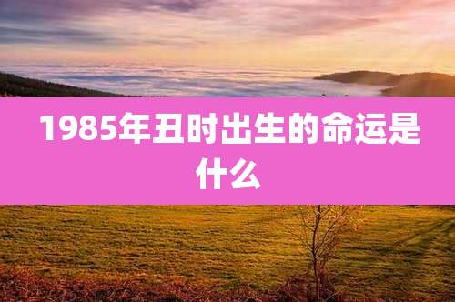 1985年丑时出生的命运是什么