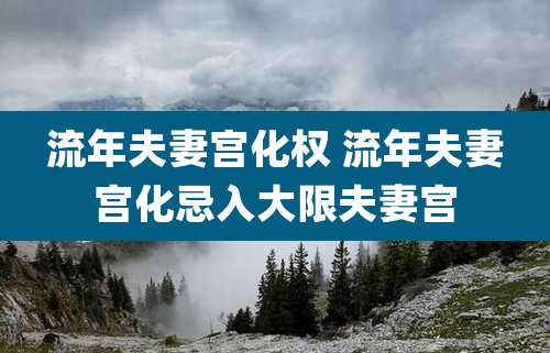 流年夫妻宫化权 流年夫妻宫化忌入大限夫妻宫