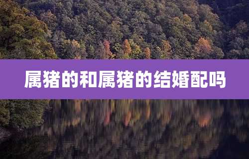 属猪的和属猪的结婚配吗