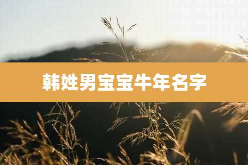 韩姓男宝宝牛年名字