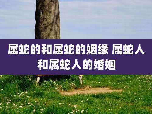 属蛇的和属蛇的姻缘 属蛇人和属蛇人的婚姻