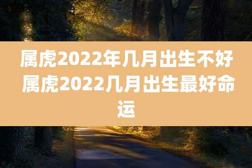 属虎2022年几月出生不好 属虎2022几月出生最好命运