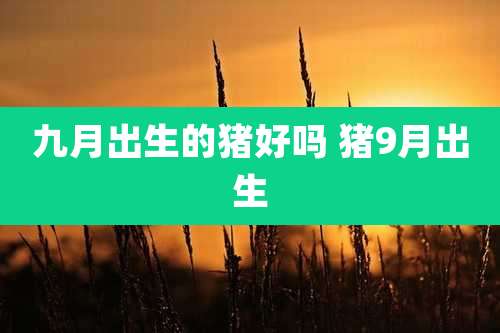 九月出生的猪好吗 猪9月出生