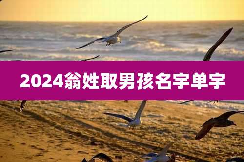 2024翁姓取男孩名字单字