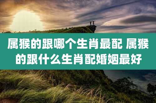 属猴的跟哪个生肖最配 属猴的跟什么生肖配婚姻最好