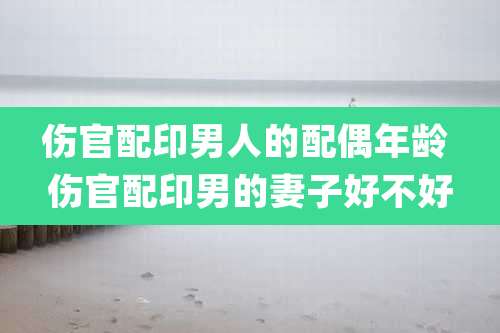 伤官配印男人的配偶年龄 伤官配印男的妻子好不好