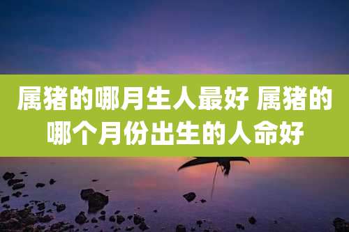 属猪的哪月生人最好 属猪的哪个月份出生的人命好
