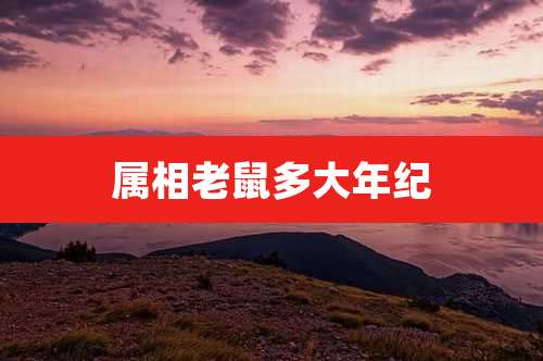 属相老鼠多大年纪