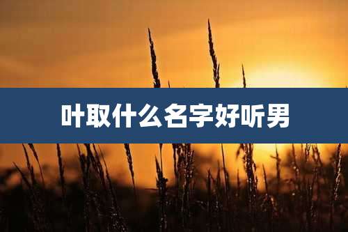 叶取什么名字好听男