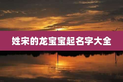 姓宋的龙宝宝起名字大全