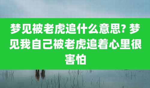 梦见被老虎追什么意思? 梦见我自己被老虎追着心里很害怕