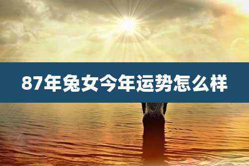 87年兔女今年运势怎么样