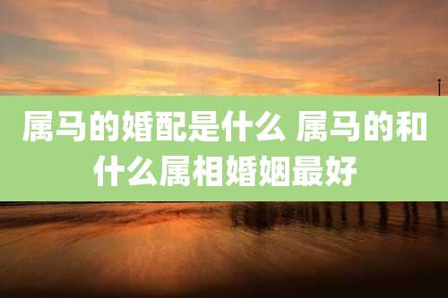 属马的婚配是什么 属马的和什么属相婚姻最好