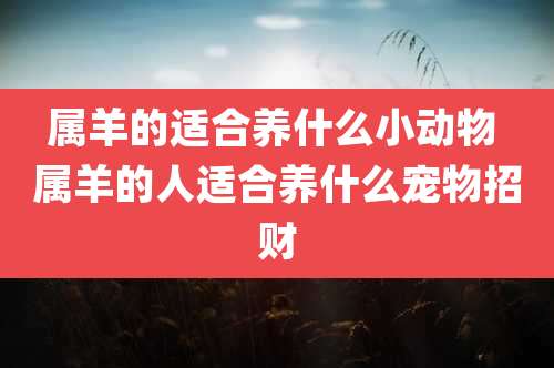 属羊的适合养什么小动物 属羊的人适合养什么宠物招财