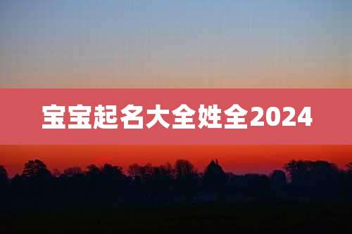 宝宝起名大全姓全2024