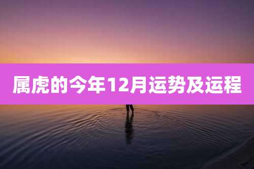 属虎的今年12月运势及运程