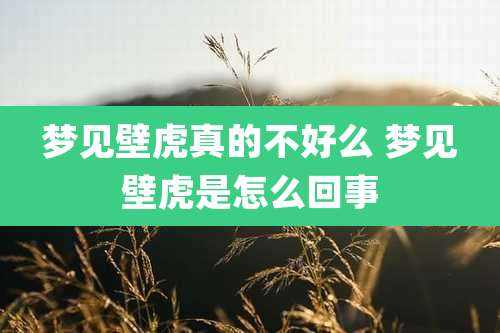 梦见壁虎真的不好么 梦见壁虎是怎么回事
