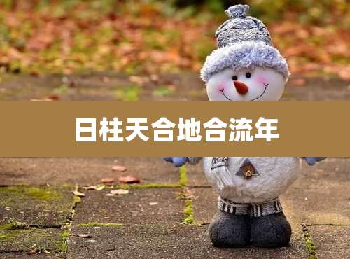 日柱天合地合流年