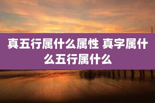 真五行属什么属性 真字属什么五行属什么