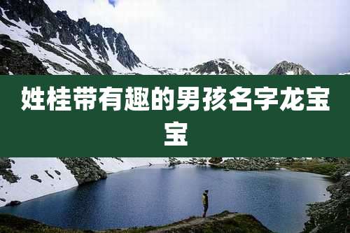 姓桂带有趣的男孩名字龙宝宝