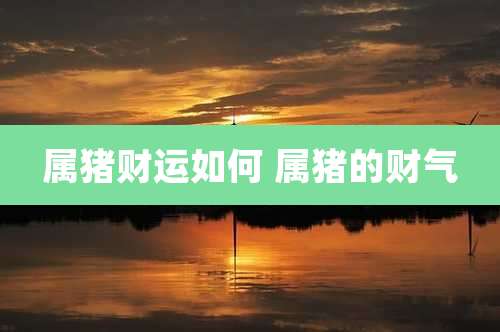 属猪财运如何 属猪的财气