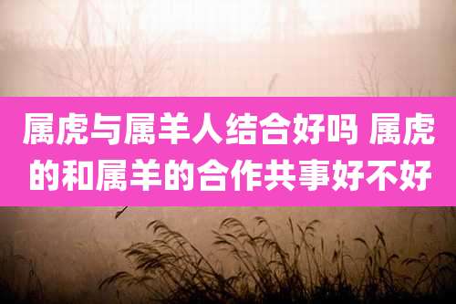 属虎与属羊人结合好吗 属虎的和属羊的合作共事好不好