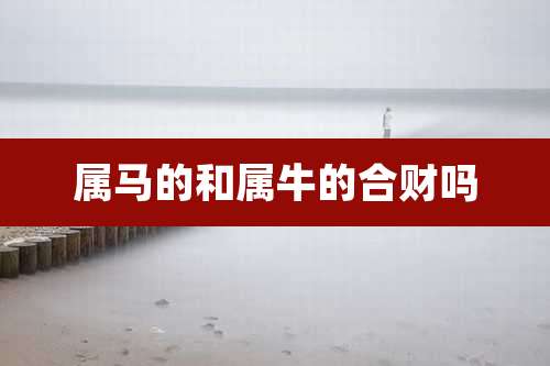 属马的和属牛的合财吗