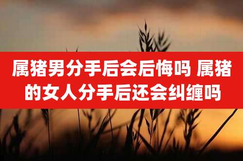属猪男分手后会后悔吗 属猪的女人分手后还会纠缠吗