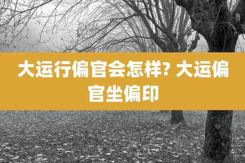 大运行偏官会怎样? 大运偏官坐偏印