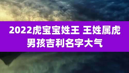 2022虎宝宝姓王 王姓属虎男孩吉利名字大气