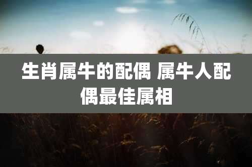 生肖属牛的配偶 属牛人配偶最佳属相