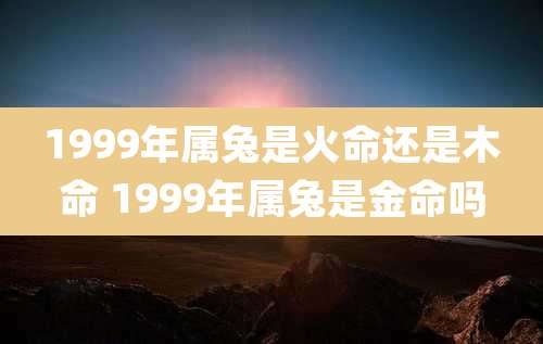 1999年属兔是火命还是木命 1999年属兔是金命吗