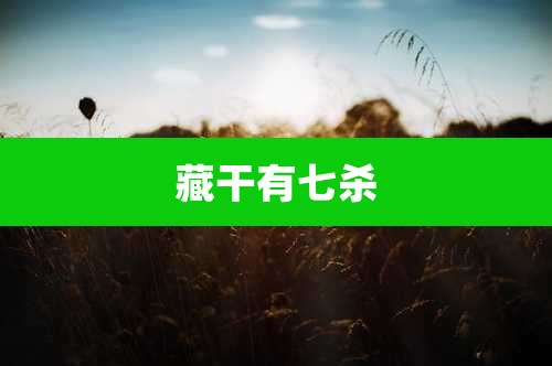 藏干有七杀