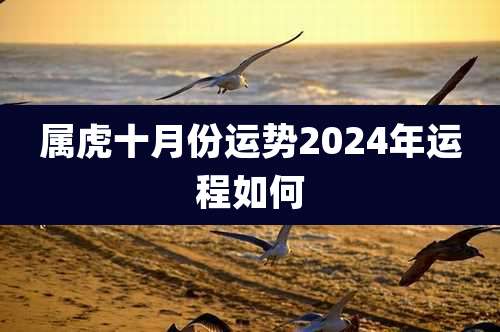 属虎十月份运势2024年运程如何