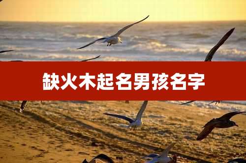 缺火木起名男孩名字