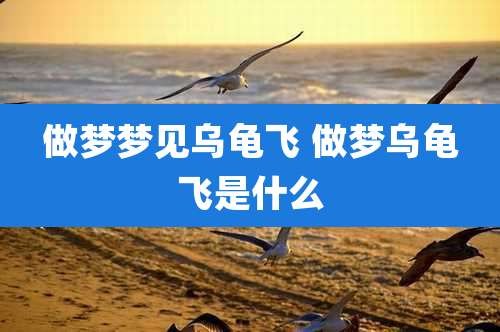 做梦梦见乌龟飞 做梦乌龟飞是什么