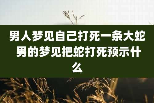 男人梦见自己打死一条大蛇 男的梦见把蛇打死预示什么
