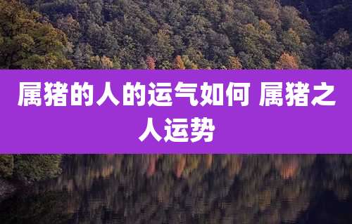 属猪的人的运气如何 属猪之人运势