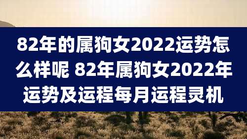 82年的属狗女2022运势怎么样呢 82年属狗女2022年运势及运程每月运程灵机