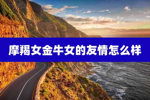 摩羯女金牛女的友情怎么样