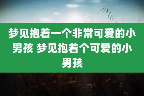 梦见抱着一个非常可爱的小男孩 梦见抱着个可爱的小男孩
