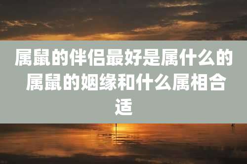 属鼠的伴侣最好是属什么的 属鼠的姻缘和什么属相合适