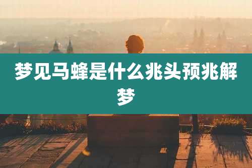 梦见马蜂是什么兆头预兆解梦