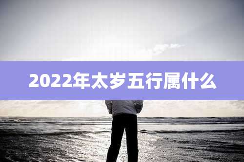 2022年太岁五行属什么